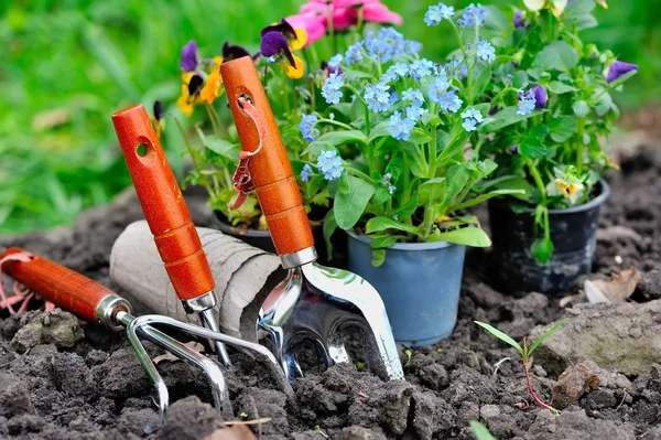 Садовые инструменты и весенние цветы в саду — стоковое фото