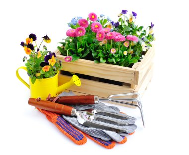 Bahçecilik aletleri ve beyaz arka plan üzerinde izole çiçekler