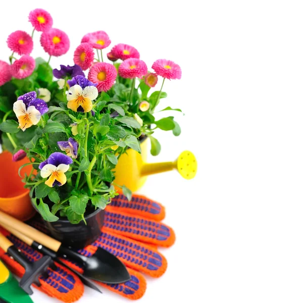 Herramientas de jardinería y flores de primavera sobre un fondo blanco —  Fotos de Stock