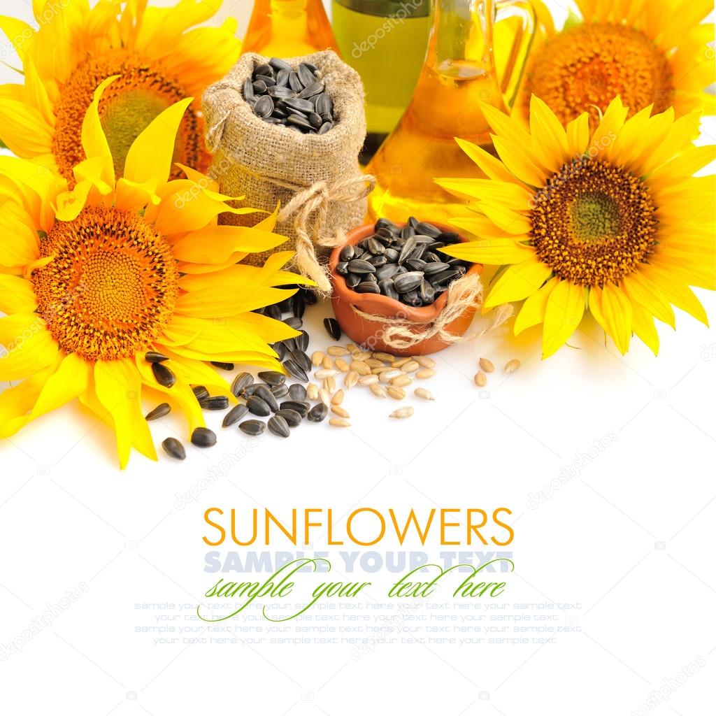 Yellow sunflowers with bottles of oil and a small bag of seeds on a white background