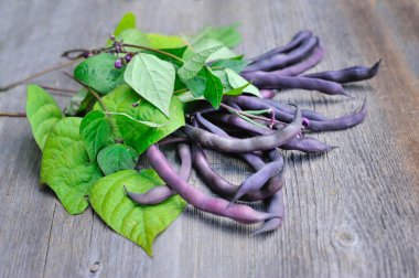 Yaprak ve çiçek ahşap arka plan üzerinde ile taze kırmızı fasulye bakla