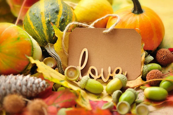 Word LOVE on the background of the label with autumn leaves and acorns