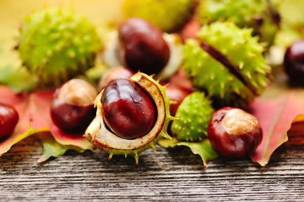 Frische Kastanien mit Ahornblättern auf Holzgrund — Stockfoto