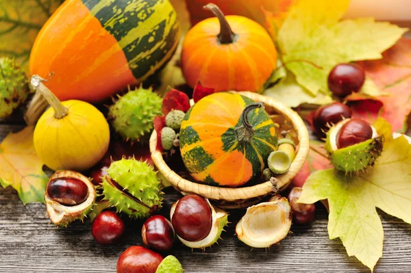 Castañas frescas con hojas de otoño y mini calabazas sobre fondo de madera —  Fotos de Stock