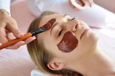 Güzel bir kadının yüzüne kilden maske takmanın prosedürü. Güzellik salonundaki yüz bakımı ve spa tedavileri..