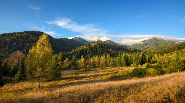 Niesamowity Krajobraz Górski Kolorowymi Drzewami Ziołami Jesienny Słoneczny Poranek Karpaty — Zdjęcie stockowe