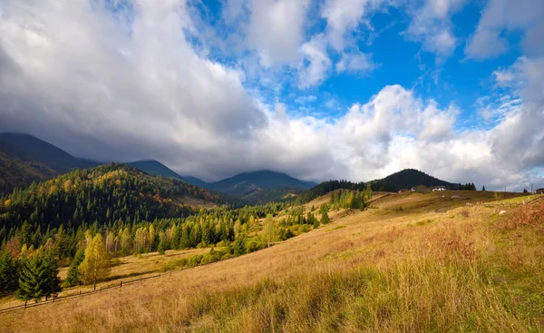 Erstaunliche Berglandschaft Mit Bunten Bäumen Und Kräutern Herbstlicher Sonniger Morgen — Stockfoto