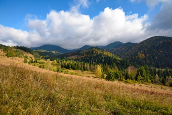 Erstaunliche Berglandschaft Mit Bunten Bäumen Und Kräutern Herbstlicher Sonniger Tag — Stockfoto