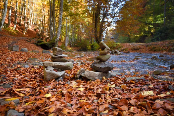 Pedras Equilibradas Floresta Outono Pedras Zen Folhas Outono — Fotografia de Stock