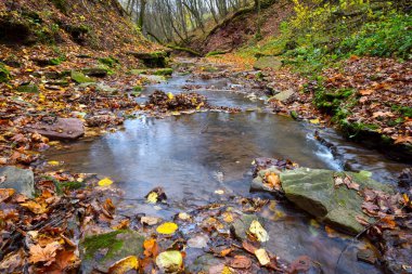 Sonbahar ormanlarında deresi olan güzel bir manzara