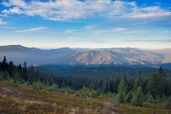 Erstaunliche Berglandschaft Mit Bunten Kräutern Abendlicht Herbstlandschaft Mit Blick Auf — Stockfoto