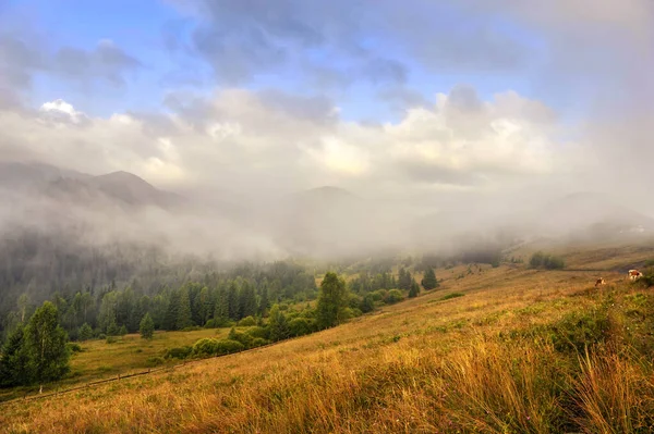 Paysage Montagneux Incroyable Avec Brouillard Herbes Colorées Matin Ensoleillé Après — Photo