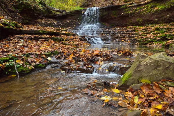 Beautiful Landscape Waterfall Autumn Forest — Stock Photo, Image