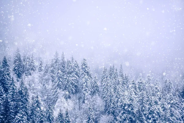 山の中で雪の吹雪 冬の背景 — ストック写真