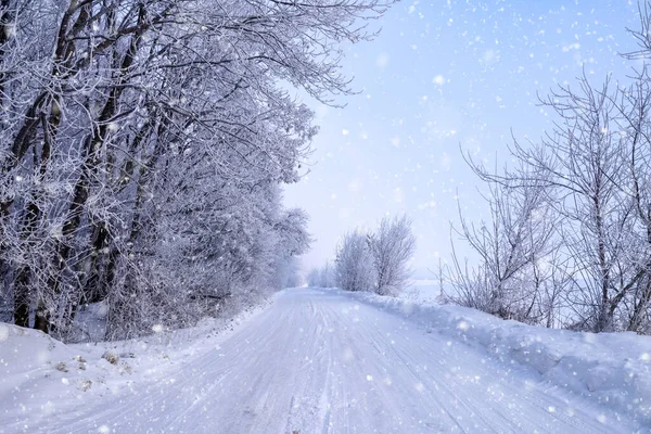 Estrada Rural Inverno Através Floresta Congelada Com Neve — Fotografia de Stock