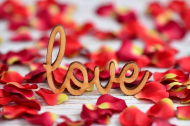 Kırmızı gül yapraklarının arka planında 