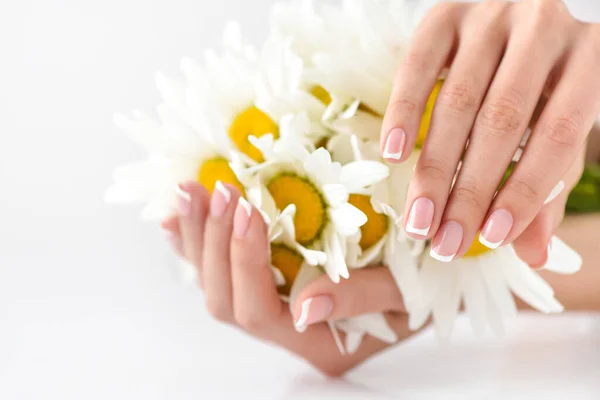 Beautiful woman french manicured hands with fresh daisy flowers