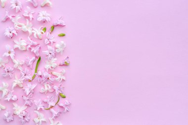 Pembe arka planda taze sümbül çiçeklerinden oluşan çiçek sınırı. Düz konum, üst görünüm, kopyalama alanı