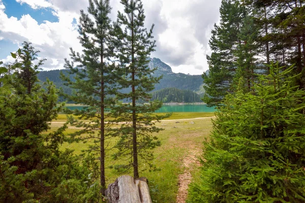 Schwarzer See Crno Jezero Durmitor Nationalpark Standort Zabljak Montenegro — Stockfoto