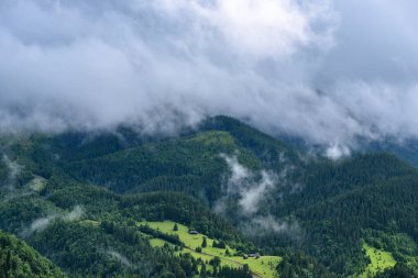 Görkemli dağ vadisi yağmurdan sonra sisle kaplıdır. Sisli bir manzara. Mekan: Karpat Dağları, Ukrayna, Avrupa.