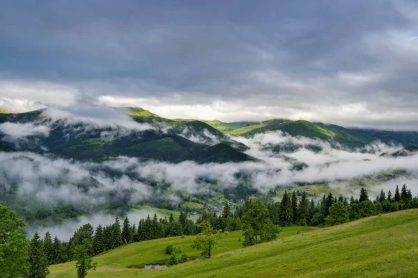 Karpat Dağlarında Sisli Bir Sabah Güzel Dağ Vadisi Sisle Kaplıdır — Stok fotoğraf