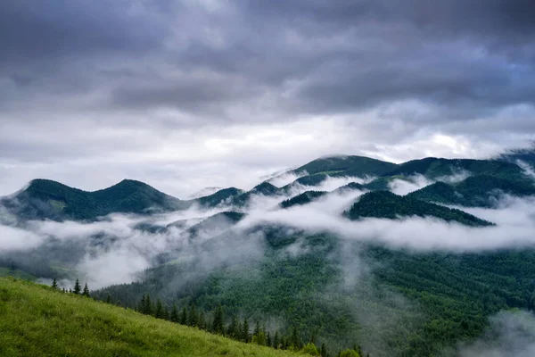 Prachtig Bergdal Regen Bedekt Met Mist Met Groene Almweiden Mistig — Stockfoto