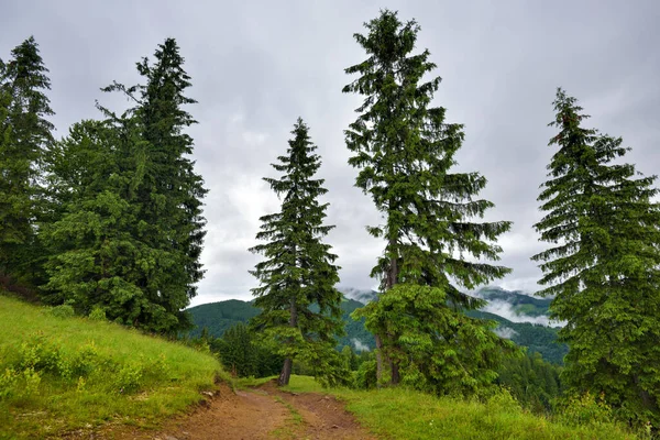 Dia Nublado Nas Montanhas Depois Chuva Bela Paisagem Localização Lugar — Fotografia de Stock