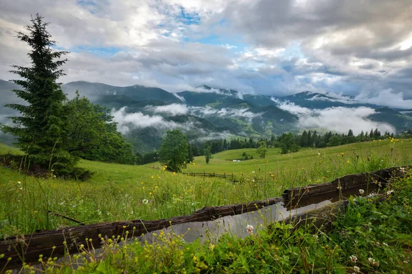 Herrliches Gebirgstal Ist Nach Dem Regen Mit Nebel Bedeckt Grüne — Stockfoto