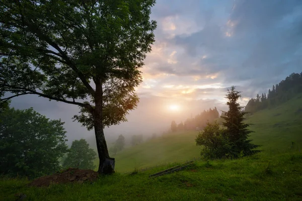 Krásná Letní Scéna Západu Slunce Horách Nádhernou Oblohou Mlhou Tajemná — Stock fotografie