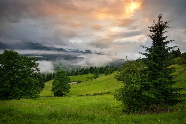 Υπέροχη Κοιλάδα Του Βουνού Καλύπτεται Ομίχλη Μετά Βροχή Πράσινα Αλπικά — Φωτογραφία Αρχείου