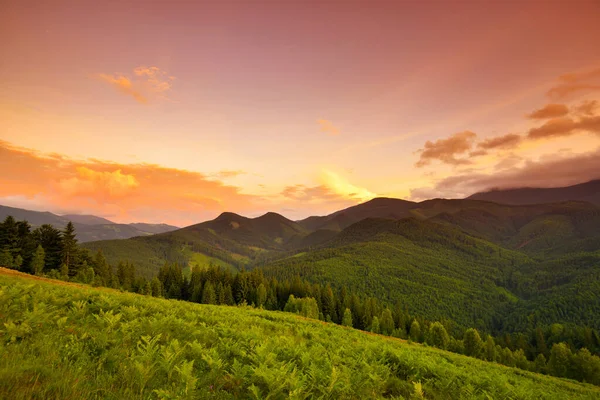 Bonita Cena Pôr Sol Verão Nas Montanhas Com Céu Espetacular — Fotografia de Stock