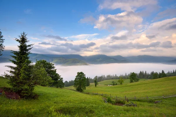 在喀尔巴阡山脉的雾天早晨 美丽的山谷被雾覆盖着 乌克兰 — 图库照片