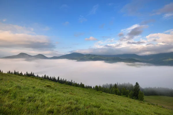 Mistige Ochtend Karpaten Prachtige Bergvallei Bedekt Met Mist Oekraïne Europa — Stockfoto