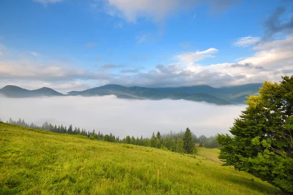 Nebeliger Morgen Den Karpaten Schönes Gebirgstal Ist Mit Nebel Bedeckt — Stockfoto