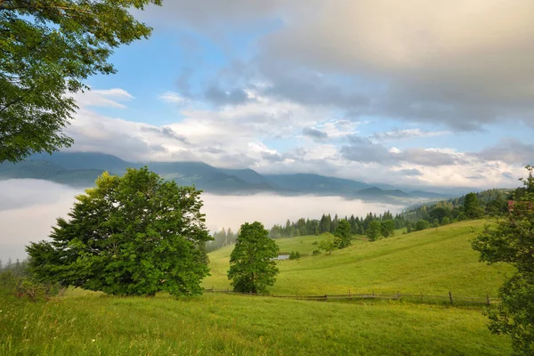 Nebeliger Morgen Den Karpaten Schönes Gebirgstal Ist Mit Nebel Bedeckt — Stockfoto