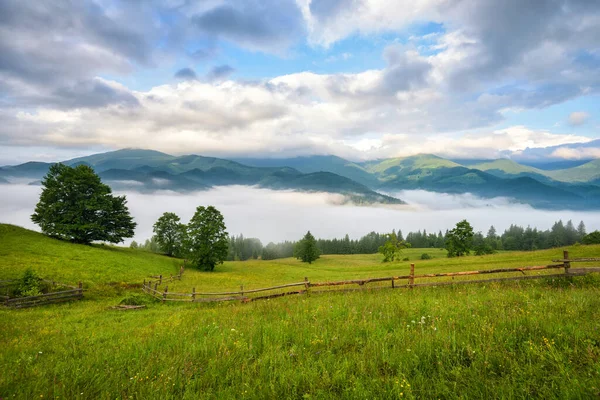 Foggy Morgen Karpatene Den Vakre Fjelldalen Dekket Tåke Ukraina Europa – stockfoto