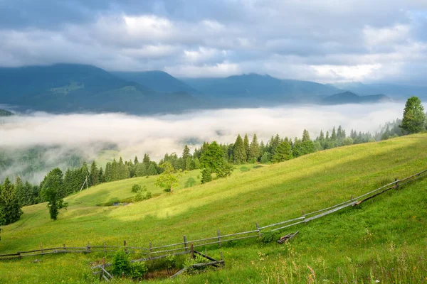 Splendide Vallée Montagne Est Couverte Brouillard Vertes Prairies Alpines Paysage — Photo