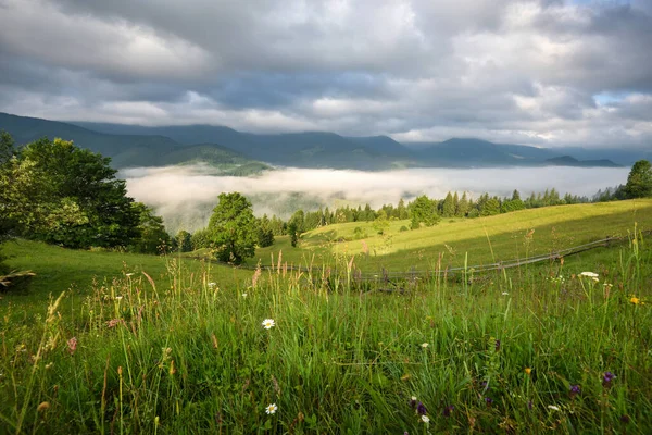 Espléndido Valle Montaña Está Cubierto Niebla Verdes Prados Alpinos Paisaje —  Fotos de Stock
