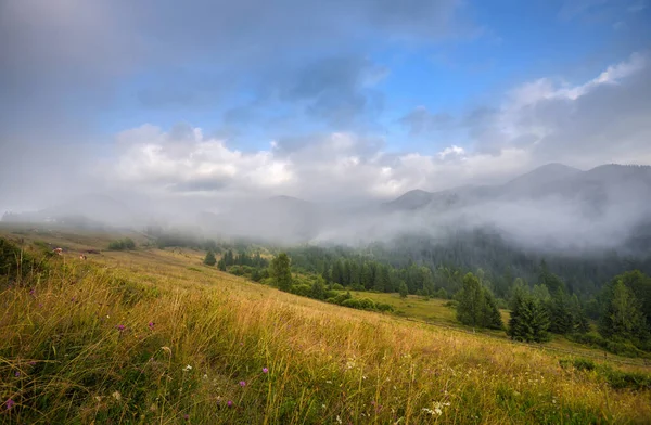 Foggy Matin Dans Les Montagnes Des Carpates Belle Vallée Montagne — Photo