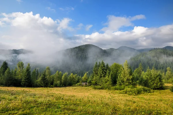 Mlhavé Ráno Karpatských Horách Krásné Horské Údolí Pokryto Mlhou Ukrajina — Stock fotografie