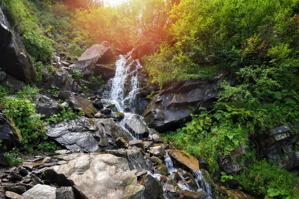 Mountain Waterfall Water Flowing Rocks Fast Stream Water Summer Landscape — Stock Photo, Image