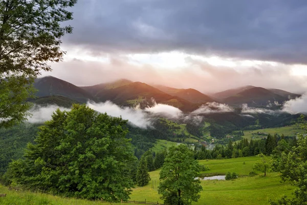 Nádherné Horské Údolí Pokryto Mlhou Dešti Zelenými Alpskými Loukami Mlhavá Stock Obrázky