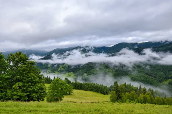 Esplêndido Vale Montanha Coberto Com Nevoeiro Após Chuva Com Prados Fotografias De Stock Royalty-Free