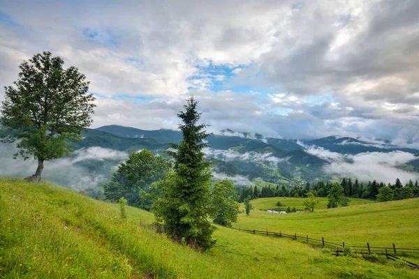 Esplêndido Vale Montanha Coberto Com Nevoeiro Após Chuva Com Prados Fotografias De Stock Royalty-Free