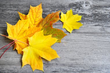 sonbahar yaprakları eski ahşap arka plan üzerinde. kopya alanı ile