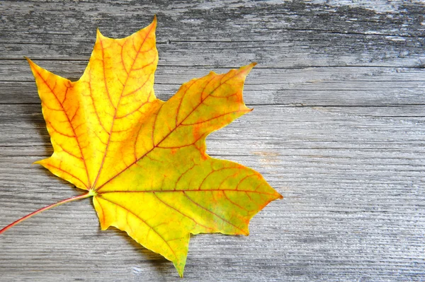 Foglia d'autunno su vecchio sfondo di legno. Con spazio di copia — Foto Stock