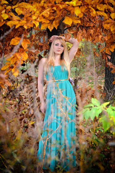 Mladá krásná žena v romantické podzimní krajina — Stock fotografie