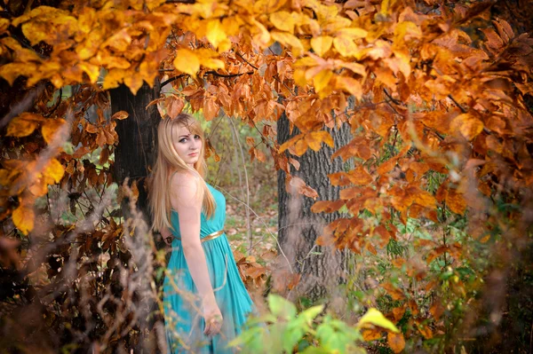Young woman in a romantic autumn scenery — Stock Photo, Image