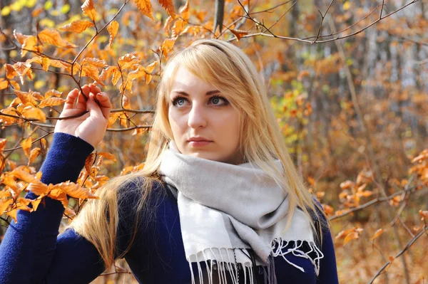 Mujer joven en hermoso parque de otoño, concepto otoño — Foto de Stock