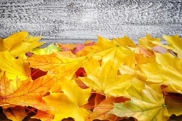 Hojas de otoño sobre fondo de madera vieja. Con espacio de copia — Foto de Stock